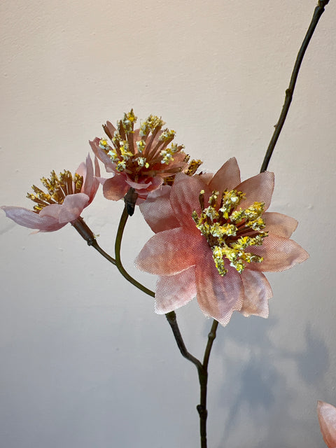 Zeeuws knoopje roze 72 cm