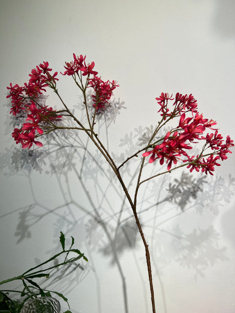 Krententak mini   rood   113 cm