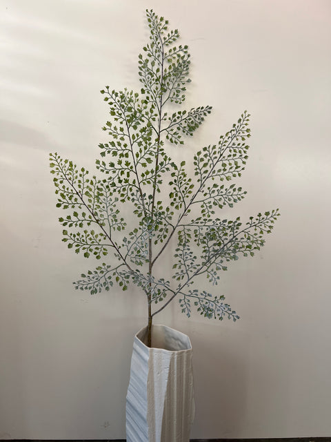 Varen tak Maiden Hair 106 cm snowy groen