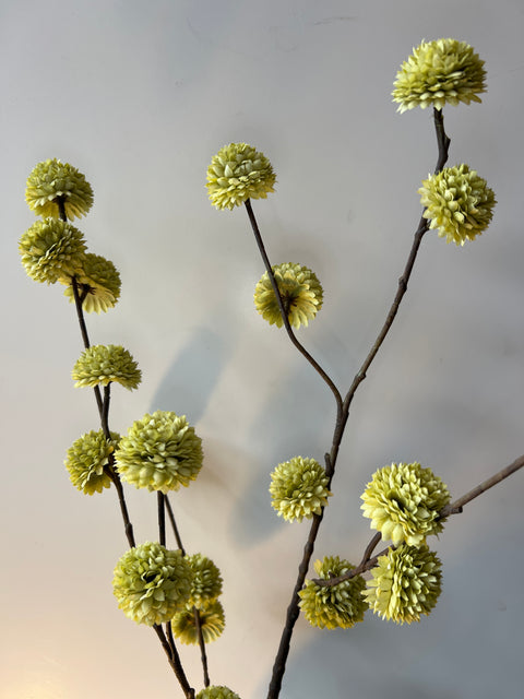 Plataan spray groen 100 cm