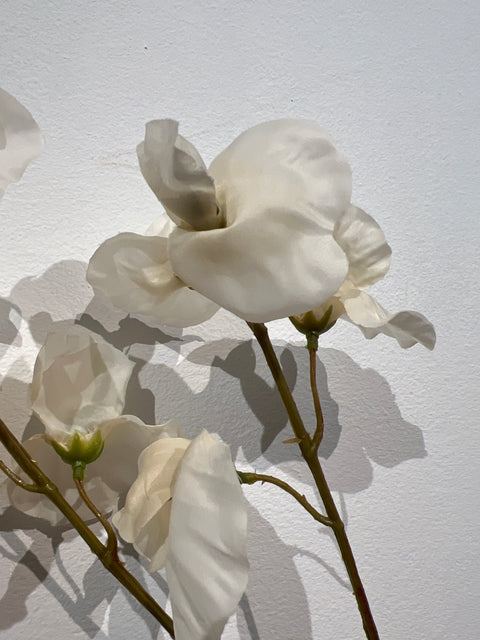 Lathyrus spray vanille 66 cm