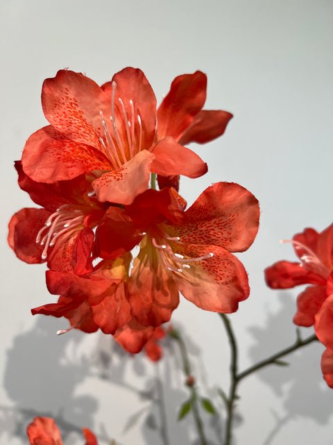 Azalia branch orange 116 cm