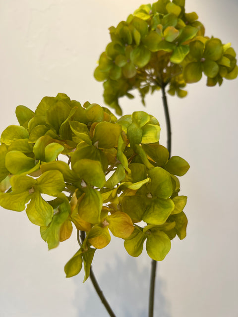 Hortensia x2 groen 85 cm