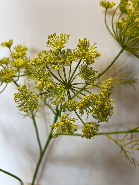 Dille tak groen 105 cm