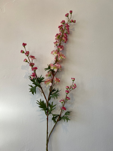 Delphinium roze 85 cm