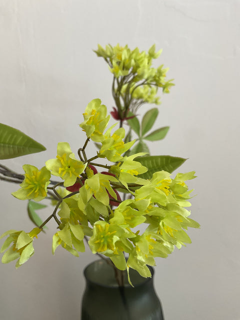 Esdoorn tak groen 110 cm