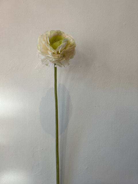 Ranonkel groot 65 cm wit/groen