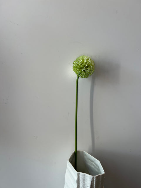 Allium groen 60 cm