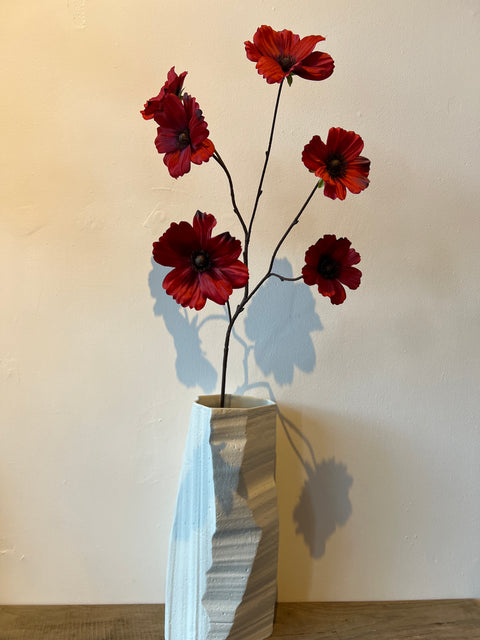 Cosmos  donker rood   76 cm