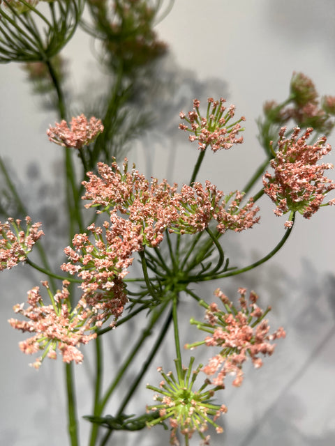 Dille spray  peach/roze 107 cm