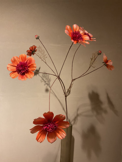 Cosmos spray 92 cm orange