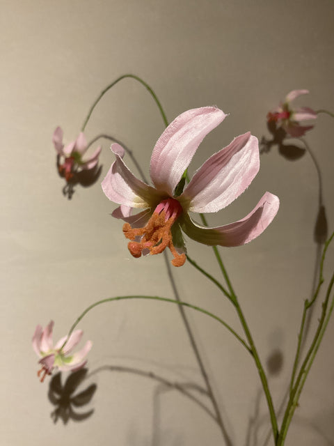 Lily Martagon 100 cm pink