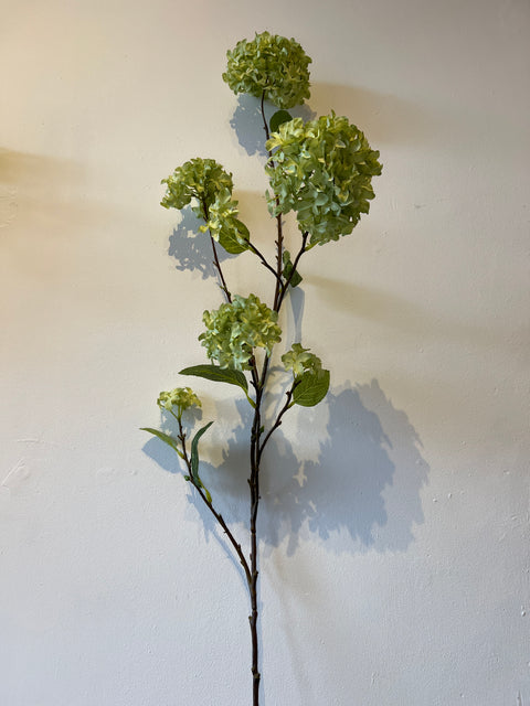 Hortensia tak x7 127 cm groen