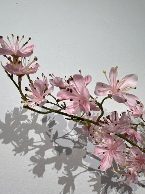 Blossom perzik pink 110 cm