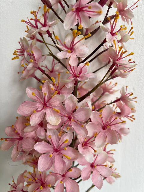Eremurus steel roze 163 cm lang