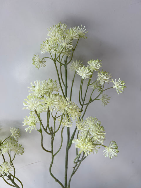 Aralia tak wit/groen 84 cm
