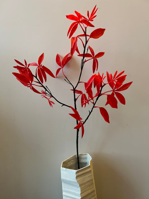 Esdoorn tak rood 80 cm