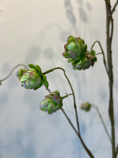 Hop tak groen/roze 167 cm