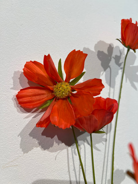 Cosmos 94 cm orange realtouch