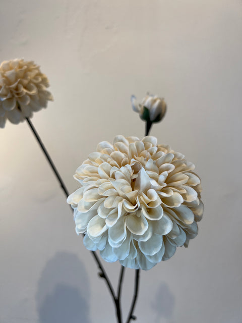 Dahlia x3 crème 75 cm
