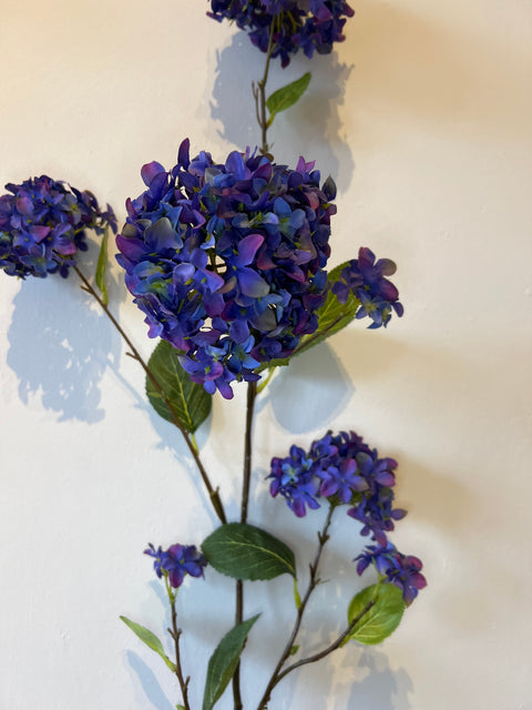 Hortensia tak x7 127 cm blauw