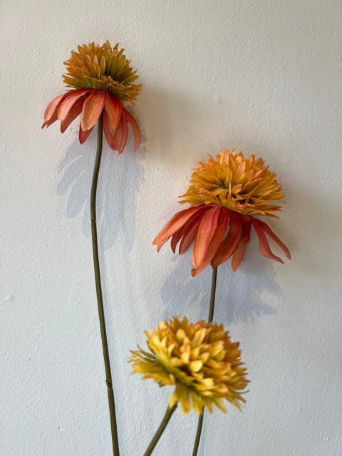 Rudbeckia tak oranje 66 cm