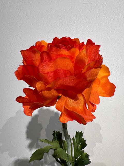 Ranonkel  51 cm donker oranje