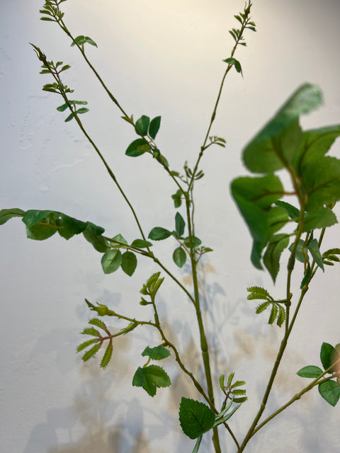 Rozen tak blad groen 140 cm