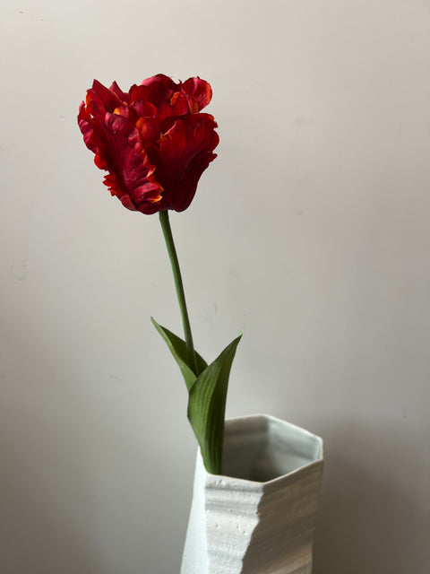 Tulp papagaai donker rood 66 cm