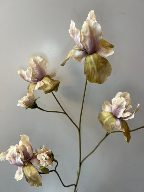 Iris tak groen 94 cm