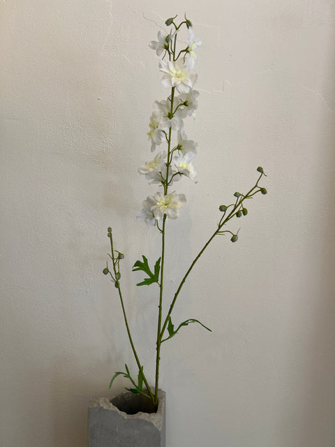 Delphinium tak crème 101 cm