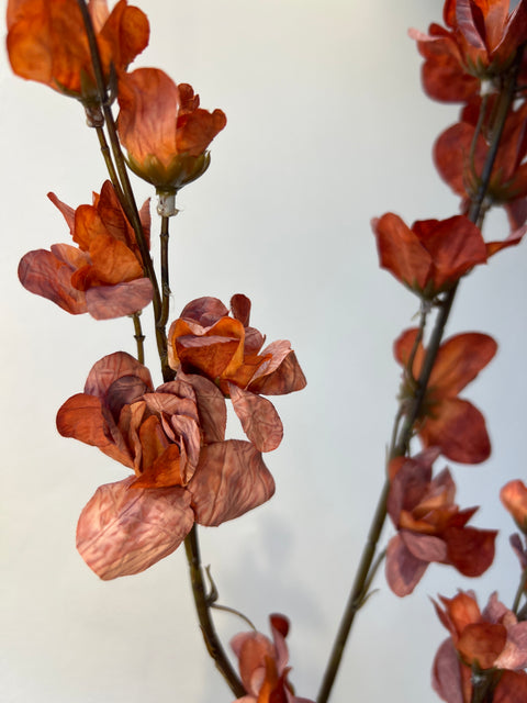 Delphinium oranje 110 cm