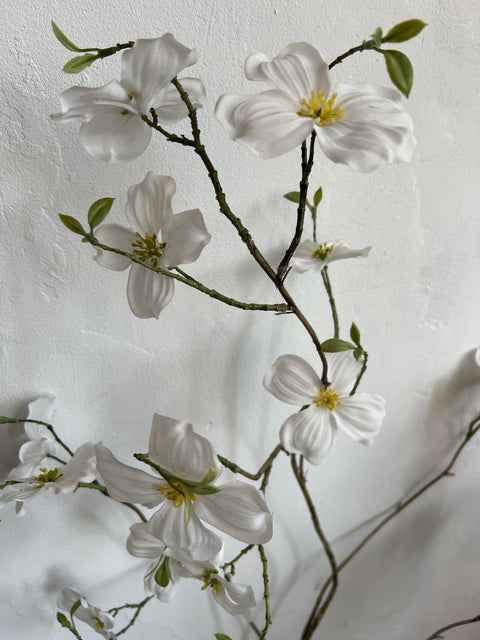 Kornoelje tak wit 120 cm