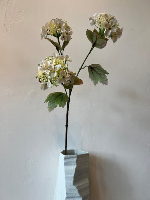 Hortensia x3 vanille 82 cm