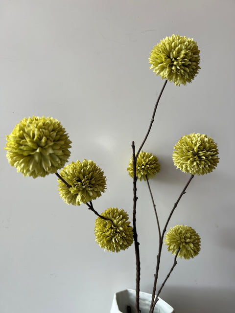 Plataan spray x7 licht groen 98 cm