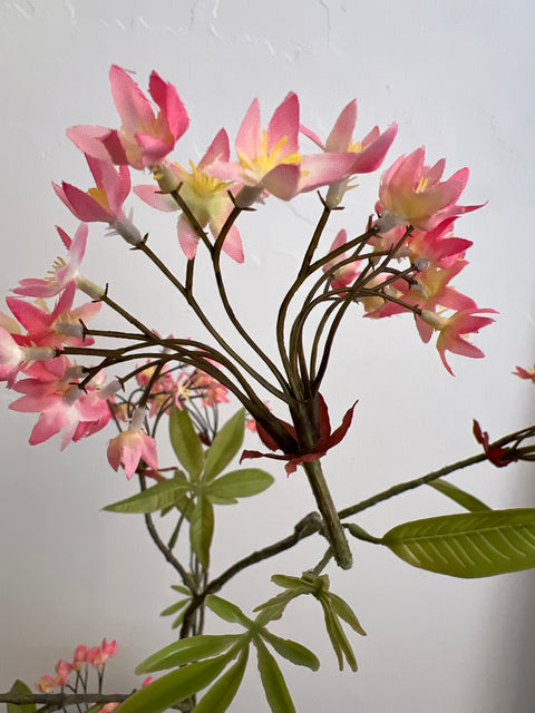 Esdoorn tak roze 110 cm