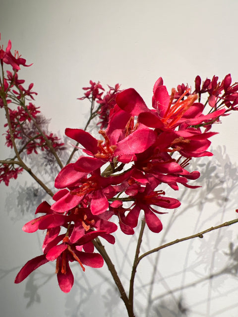 Krententak mini   rood   113 cm