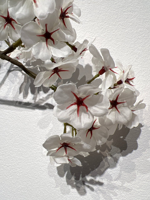 Bloesem tak crème  95 cm