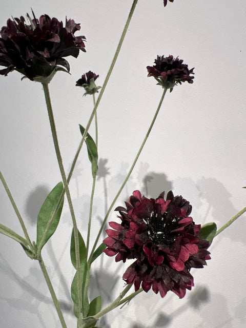 Korenbloem spray 90 cm bordeaux