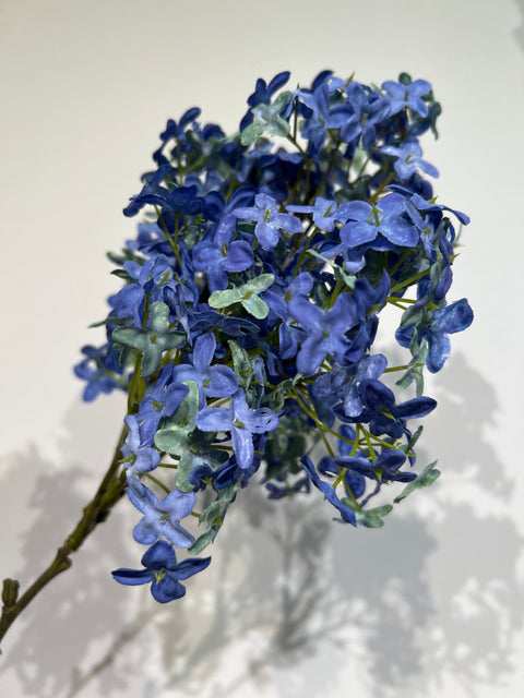 Hortensia tak blauw 143 cm