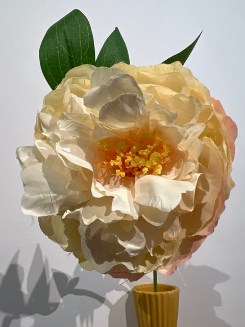 Pioenroos peach 65 cm