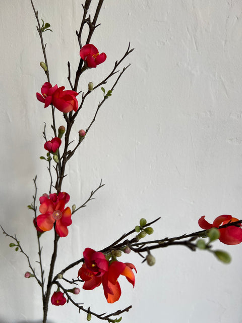 Quince blossom tak 125 cm coral
