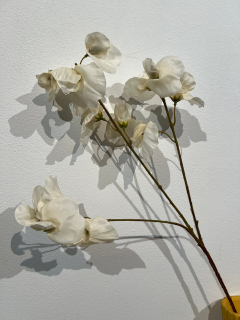 Lathyrus spray vanille 66 cm