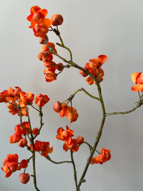 Kardinaalsmuts tak oranje  90 cm