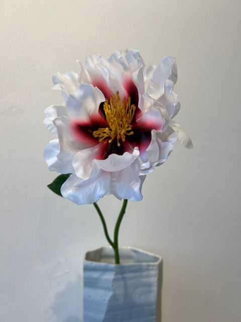 Pioenroos open wit/rood 56 cm