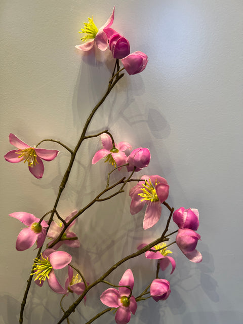 Thalictrum roze 78 cm