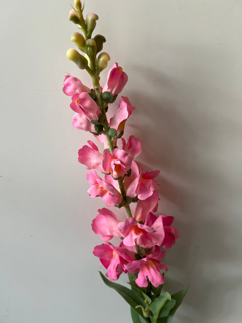 Leeuwenbek roze 93 cm