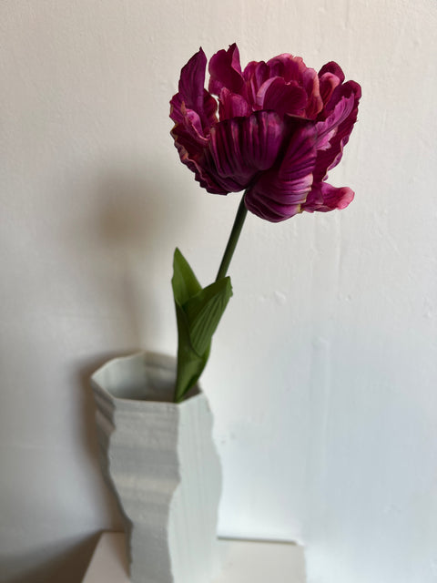 Tulp paris purple 66 cm