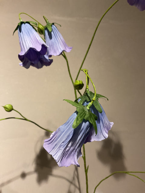 Cobea tak 110 cm lavendel/blauw