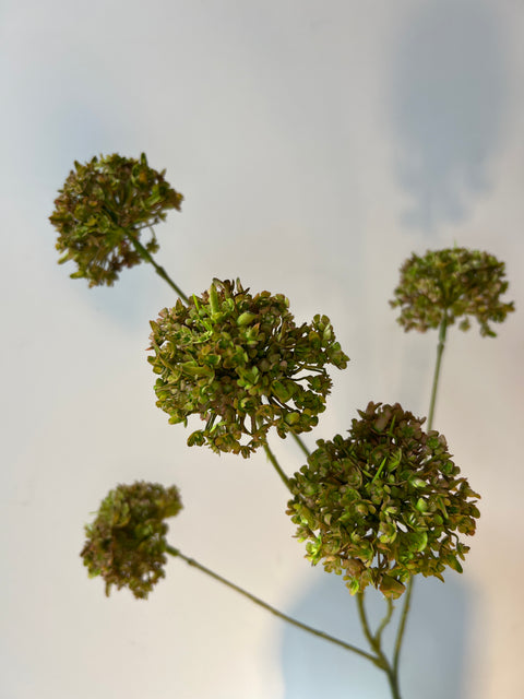Sneeuwbal tak x5 groen 75 cm